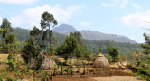 huts and small garden with trees. mountain in back