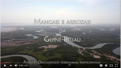 mangrove and rice restoration video