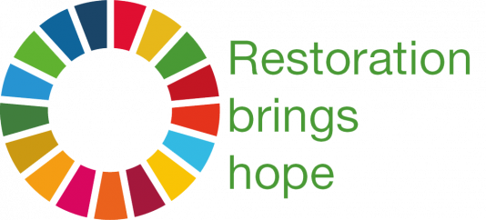 colour wheel for SDGs