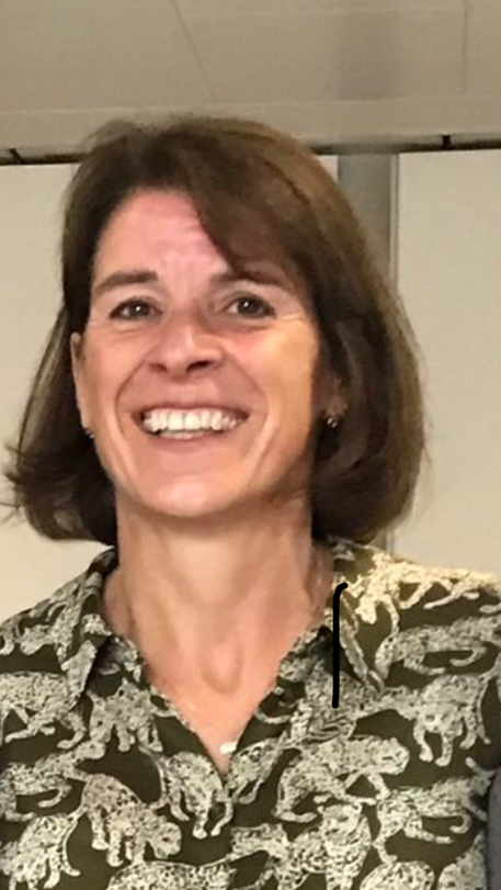 Speaker Dilys ROE