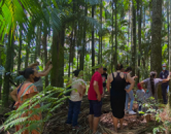 O sucesso das agroflorestas começa pelo solo saudável・Código Florestal na Prática - ©️Vitor Lauro Zanelatto