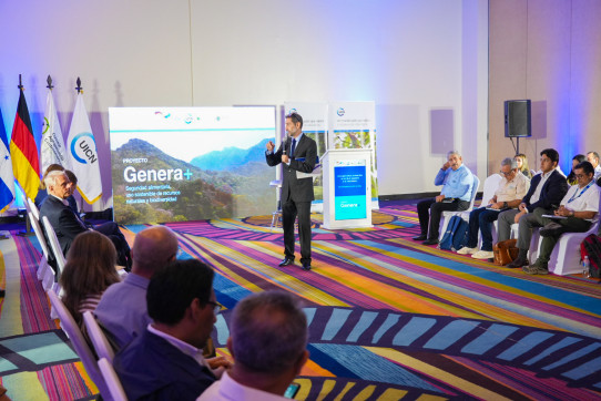 Common Ground: Nature, Food and Agricultural Systems